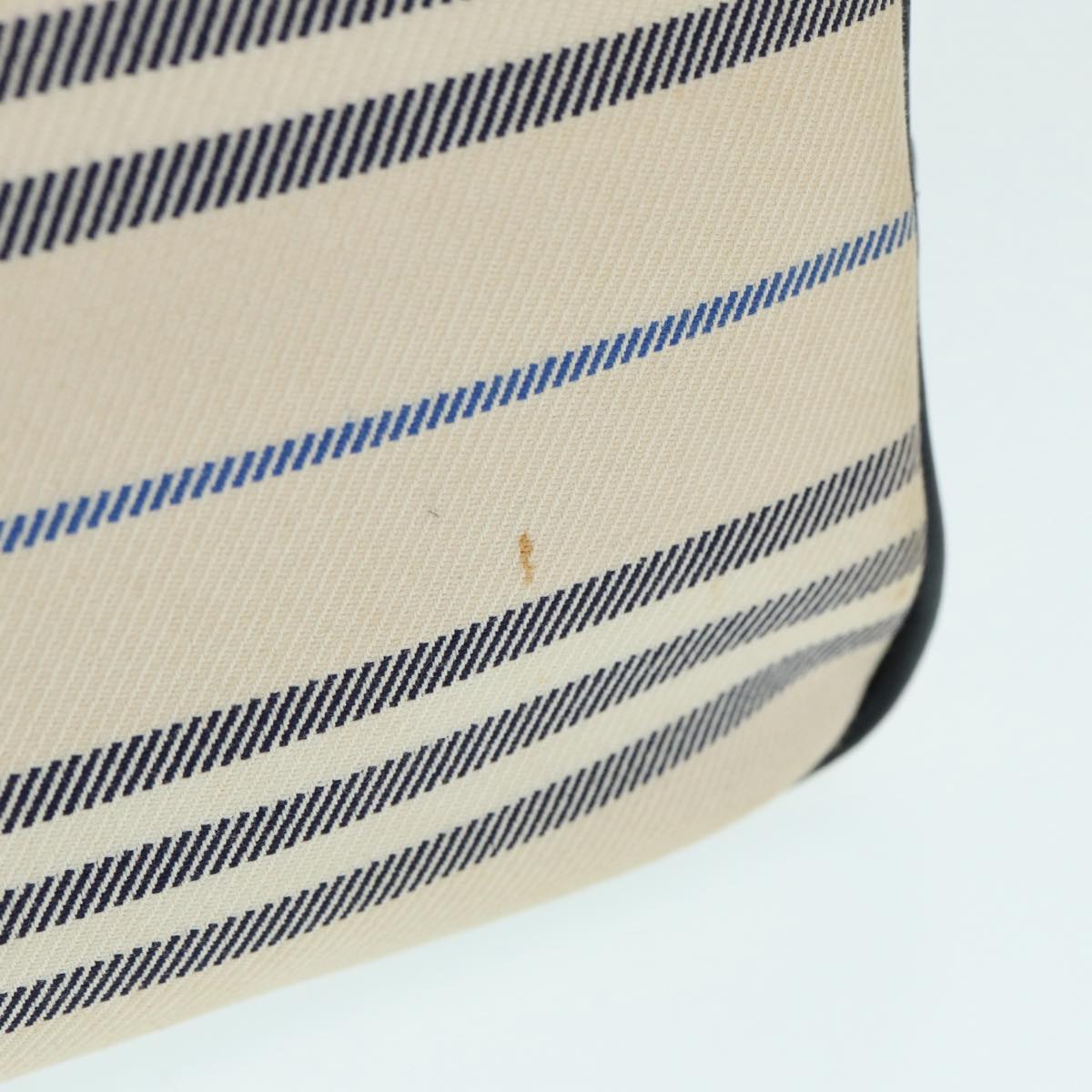 Burberry Beige Canvas Shoulder Bag