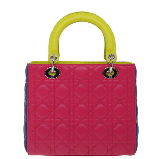 Dior Dioriviera Pink Leather Handbag