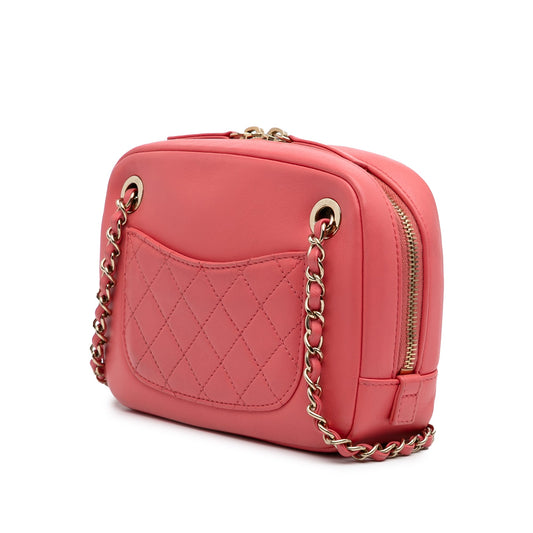 Pink Chanel Lambskin Giant Crystal CC Camera Bag